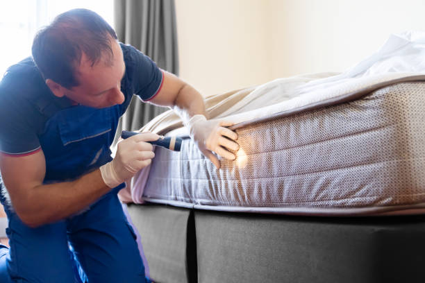 Best Fumigation Services  in Grand Ledge, MI